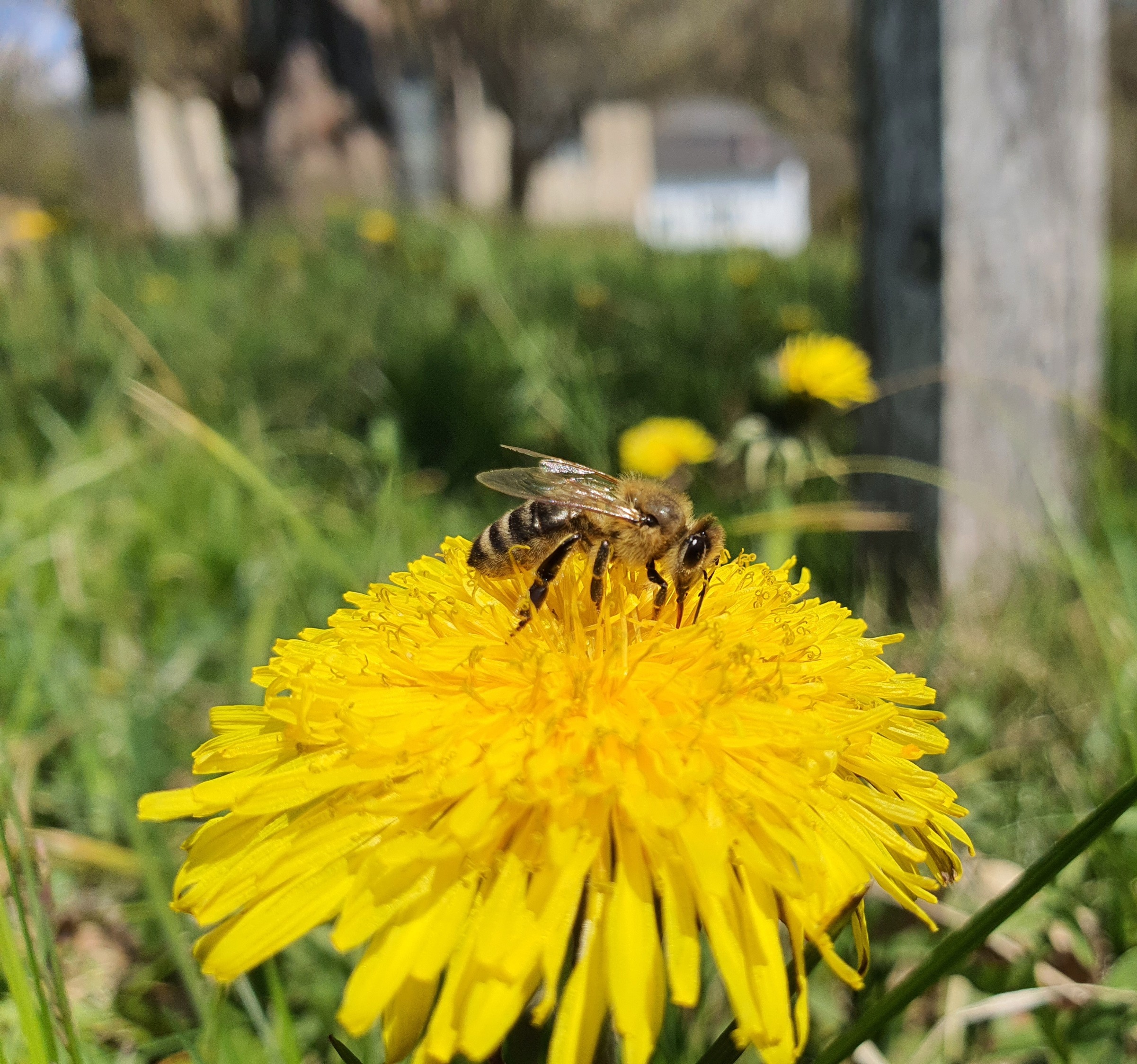 20210423_134216_edited